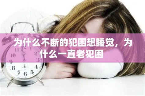 为什么不断的犯困想睡觉,为什么一直老犯困