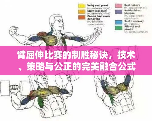 臂屈伸比赛的制胜秘诀，技术、策略与公正的完美融合公式揭秘！