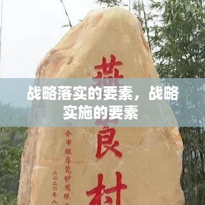 战略落实的要素，战略实施的要素 