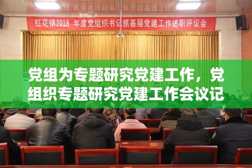 党组为专题研究党建工作，党组织专题研究党建工作会议记录2018 