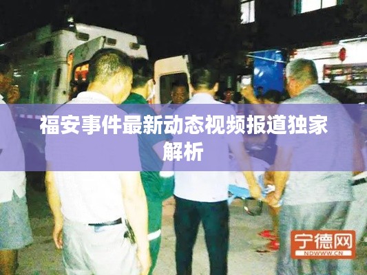 福安事件最新动态视频报道独家解析