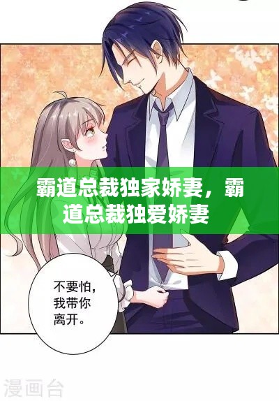 霸道总裁独家娇妻，霸道总裁独爱娇妻 