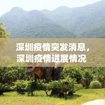 深圳疫情突发消息，深圳疫情进展情况 