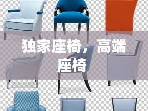 独家座椅，高端座椅 