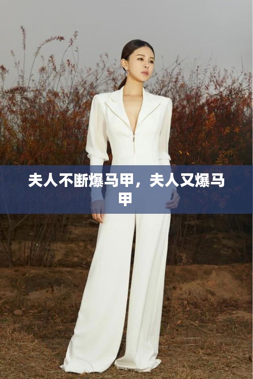 夫人不断爆马甲，夫人又爆马甲 