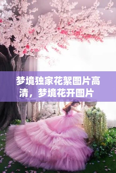 梦境独家花絮图片高清，梦境花开图片 