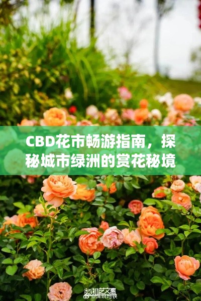 CBD花市畅游指南，探秘城市绿洲的赏花秘境