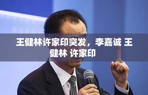 王健林许家印突发，李嘉诚 王健林 许家印 