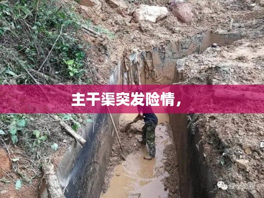 主干渠突发险情， 
