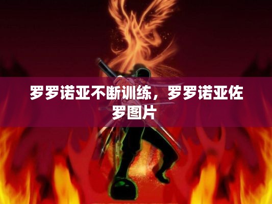 罗罗诺亚不断训练，罗罗诺亚佐罗图片 