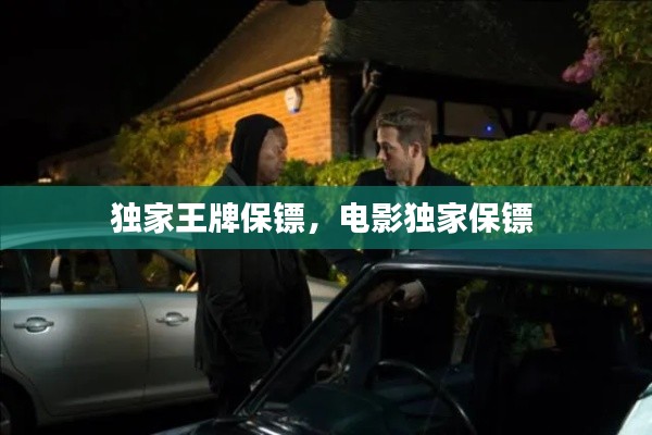 独家王牌保镖，电影独家保镖 