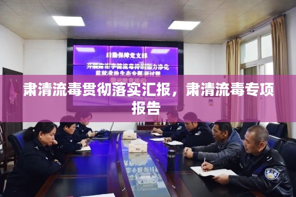 肃清流毒贯彻落实汇报，肃清流毒专项报告 