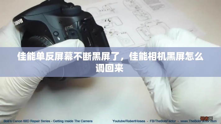 佳能单反屏幕不断黑屏了，佳能相机黑屏怎么调回来 