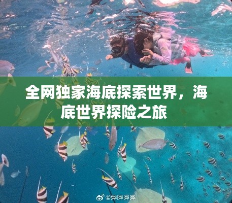 全网独家海底探索世界，海底世界探险之旅 