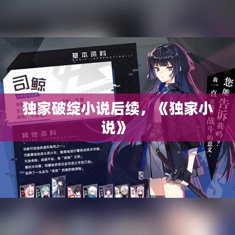 独家破绽小说后续，《独家小说》 