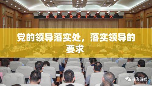 党的领导落实处，落实领导的要求 