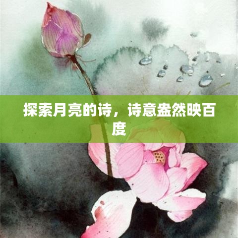 探索月亮的诗，诗意盎然映百度