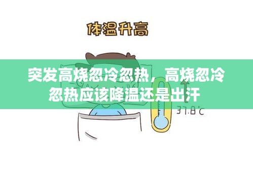 突发高烧忽冷忽热，高烧忽冷忽热应该降温还是出汗 