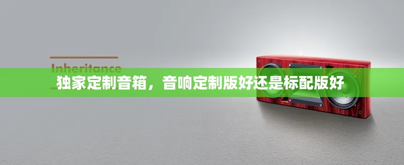 独家定制音箱，音响定制版好还是标配版好 