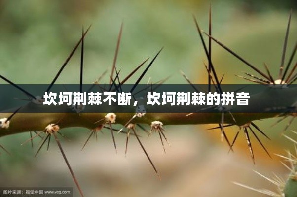 坎坷荆棘不断，坎坷荆棘的拼音 