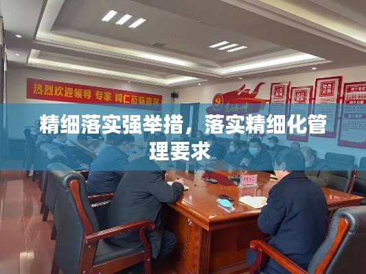 精细落实强举措，落实精细化管理要求 