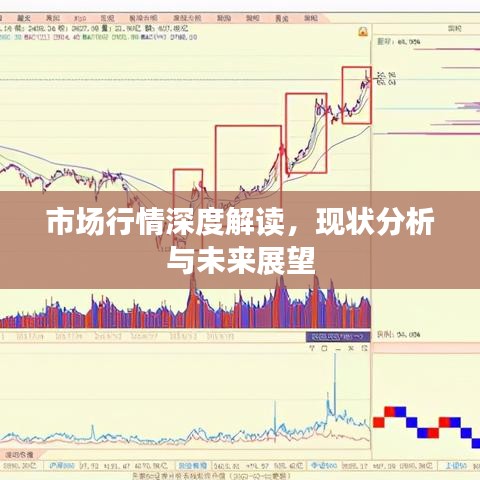 市场行情深度解读，现状分析与未来展望