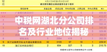中税网湖北分公司排名及行业地位揭秘