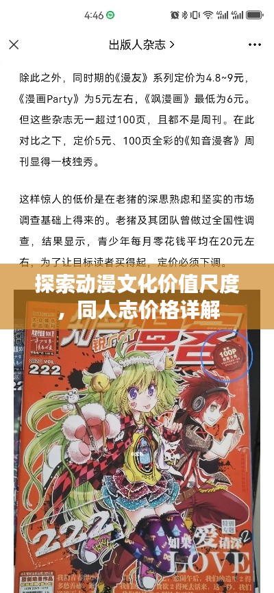 探索动漫文化价值尺度，同人志价格详解
