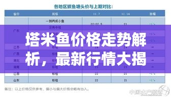 塔米鱼价格走势解析，最新行情大揭秘！