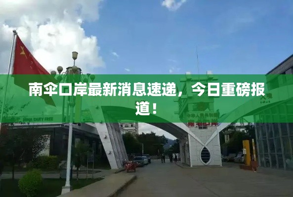 南伞口岸最新消息速递，今日重磅报道！