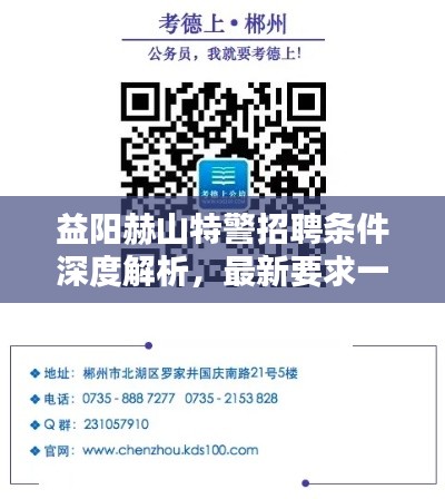 益阳赫山特警招聘条件深度解析，最新要求一网打尽