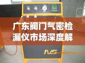 广东阀门气密检漏仪市场深度解析，市场现状与发展趋势