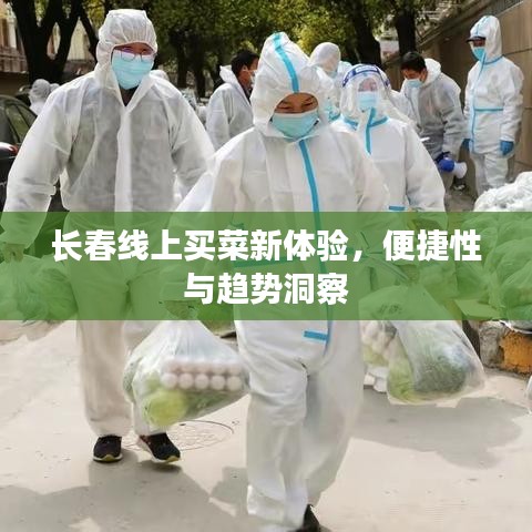 长春线上买菜新体验，便捷性与趋势洞察