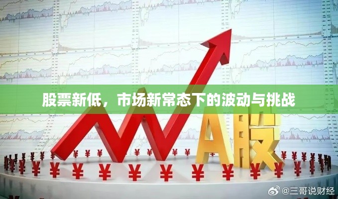 股票新低，市场新常态下的波动与挑战