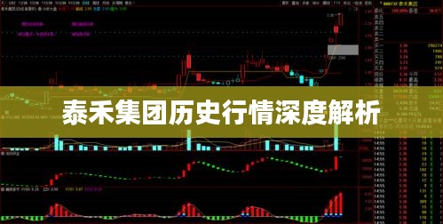 泰禾集团历史行情深度解析