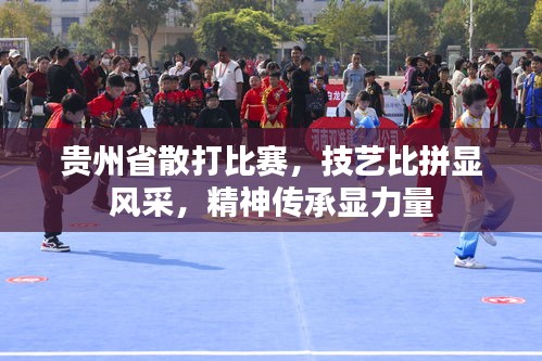 贵州省散打比赛，技艺比拼显风采，精神传承显力量