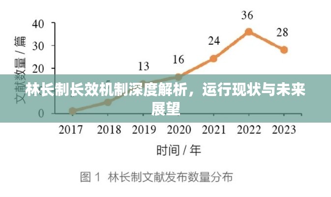 林长制长效机制深度解析，运行现状与未来展望