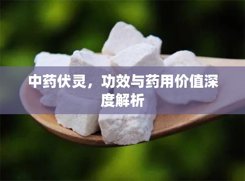 中药伏灵，功效与药用价值深度解析