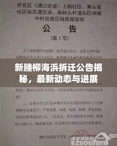 新塍柳海浜拆迁公告揭秘，最新动态与进展