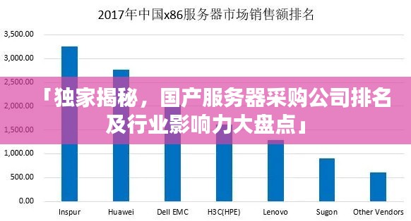 「独家揭秘，国产服务器采购公司排名及行业影响力大盘点」