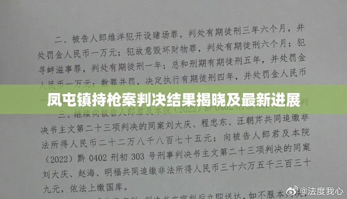 凤屯镇持枪案判决结果揭晓及最新进展