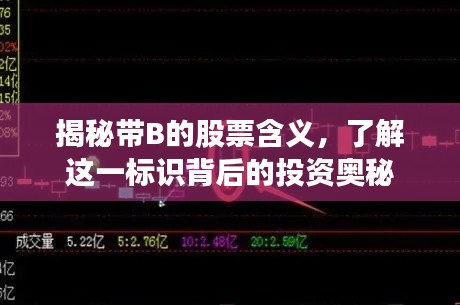 揭秘带B的股票含义，了解这一标识背后的投资奥秘