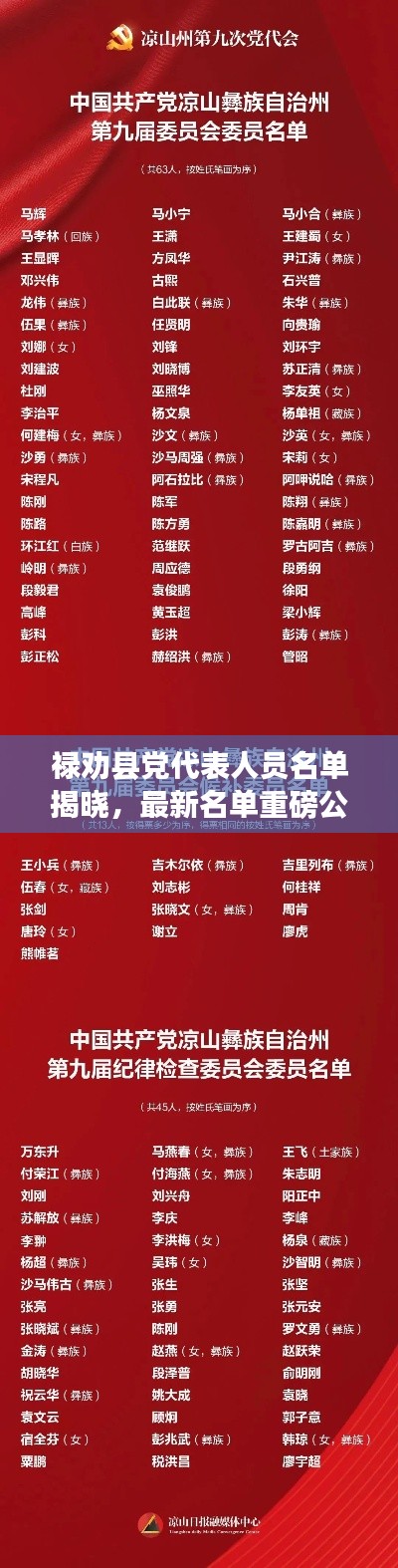 禄劝县党代表人员名单揭晓，最新名单重磅公布！