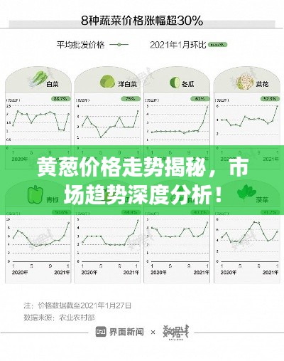 黄葱价格走势揭秘，市场趋势深度分析！
