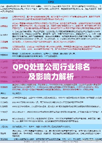 QPQ处理公司行业排名及影响力解析