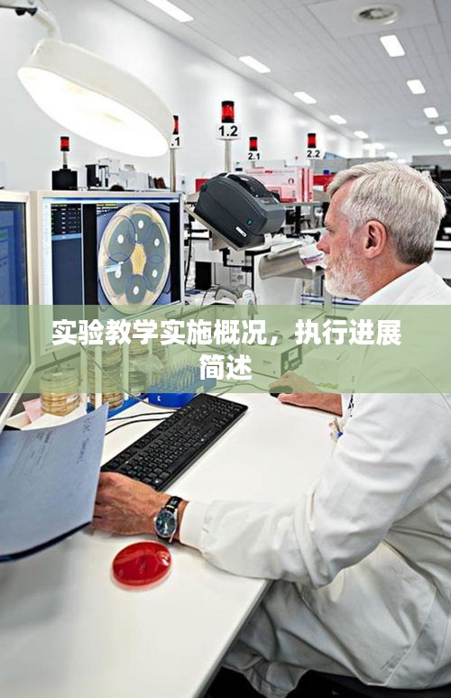 实验教学实施概况，执行进展简述