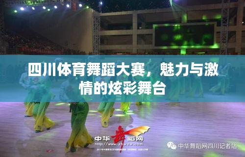 四川体育舞蹈大赛，魅力与激情的炫彩舞台