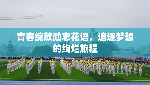 青春绽放励志花语，追逐梦想的绚烂旅程