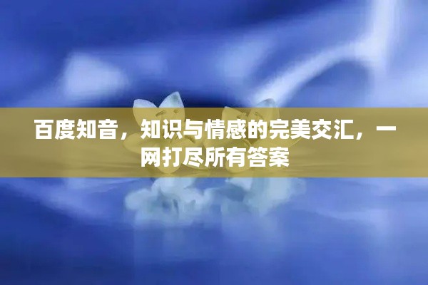 踊贵屦贱